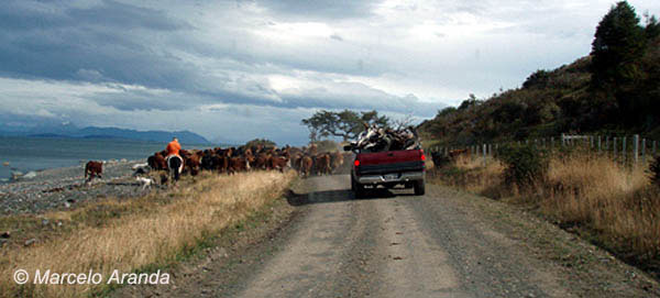 Expedicin binacional de aventuras y pesca: Ushuaia / Isla Riesco