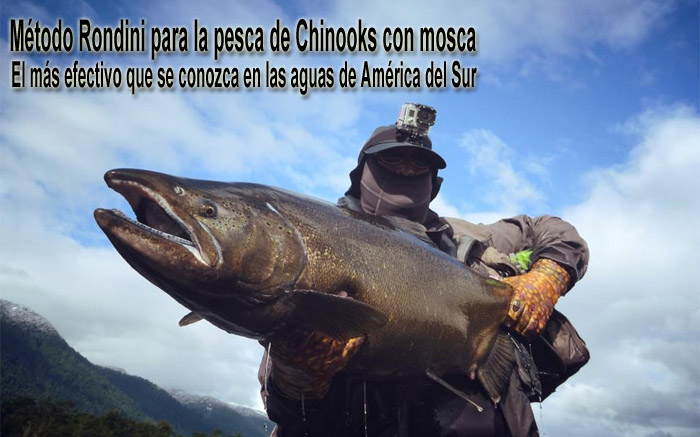 Mtodo Rondini para la pesca de Chinooks con mosca, el ms efectivo que se conozca en las aguas de Amrica del Sur.