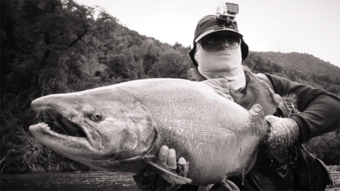 Mtodo Rondini para la pesca de Chinooks con mosca, el ms efectivo que se conozca en las aguas de Amrica del Sur.