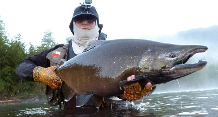 Mtodo Rondini para la pesca de Chinooks con mosca, el ms efectivo que se conozca en las aguas de Amrica del Sur.