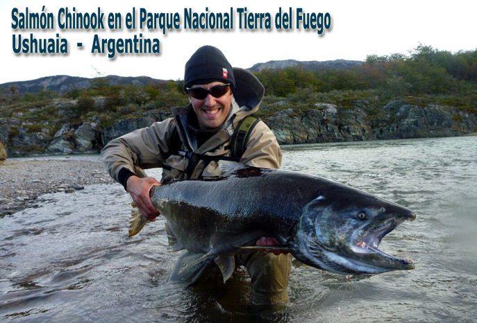 Salmn Chinook en el Parque Nacional Tierra del Fuego