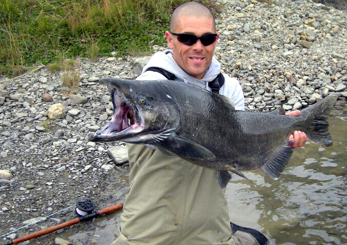 Salmn Chinook en el Parque Nacional Tierra del Fuego