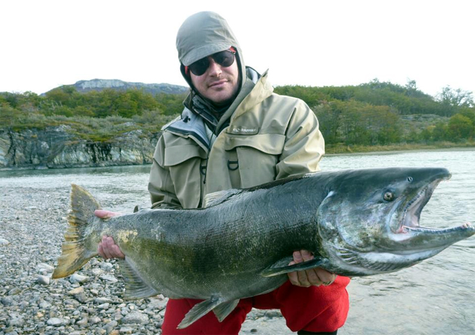 Salmn Chinook en el Parque Nacional Tierra del Fuego