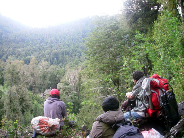 Un descanso rumbo a lago Gris contemplando los bosques