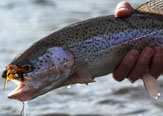 Pesca con mosca, una fracción de la verdadera aventura
