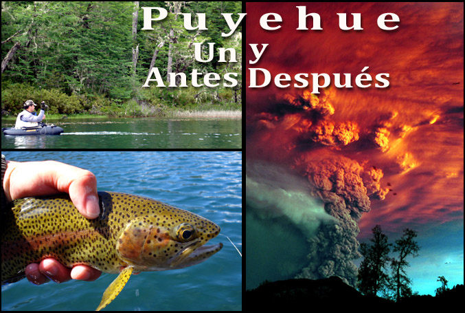 Puyehue, un antes y después.