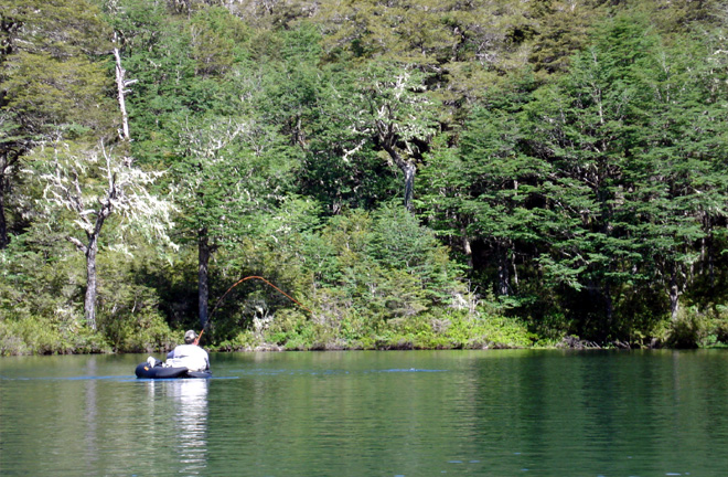 Puyehue, un antes y despus:  Laguna El Pato  - Foto de Ricardo Ordoez