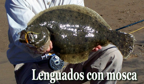 La pesca del lenguados con mosca