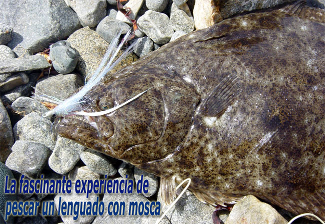 La fascinante experiencia de pescar un lenguado con mosca