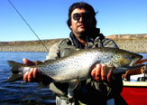 Pescando el Limay Medio.