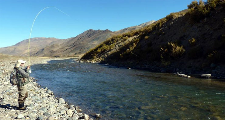 Las variables en la tasa de hundimiento de las lneas de mosca