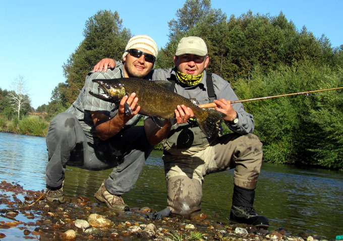 Salmones migratorios del ro Liucura - Ricardo Ordoez y Felipe Matus