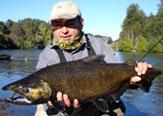 Salmones migratorios del río Liucura