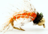 Lonco Flies - Moscas Chile