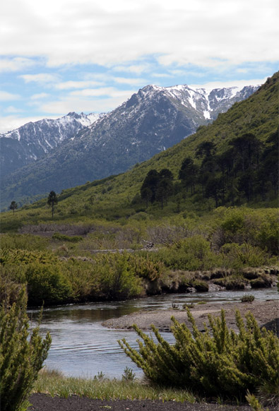 Lonquimay, Los pequeos detalles de una gran pesca en La Araucania