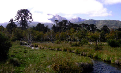 Lonquimay, Los pequeos detalles de una gran pesca en La Araucania