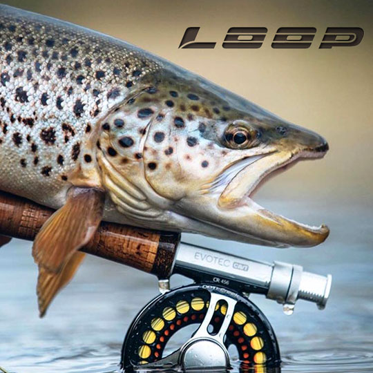 marcas de reel de pesca