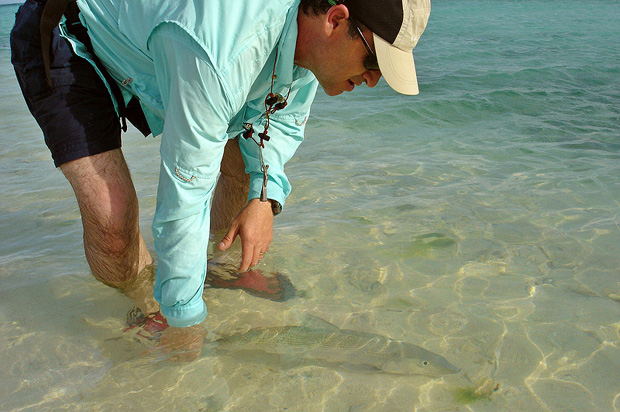 Caribe Fly Fishing  - Liberando un Macab o Bonefish