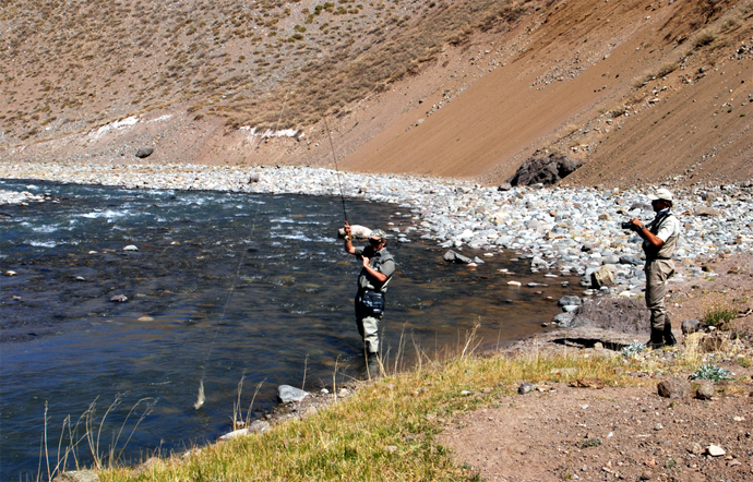 Experiencia de Pesca en Mendoza Argentina y Reflexiones Sobre su Pesca, la de Europa y la Nuestra