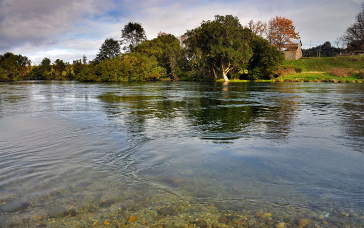 Lecciones de Pesca con Mosca en Chile