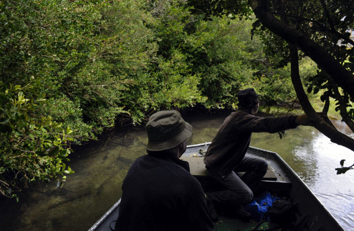Lecciones de Pesca con Mosca en Chile