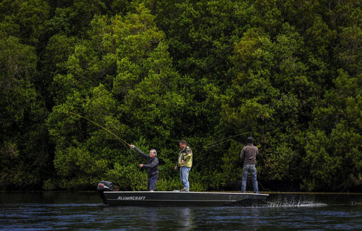 Lecciones de Pesca con Mosca en Chile