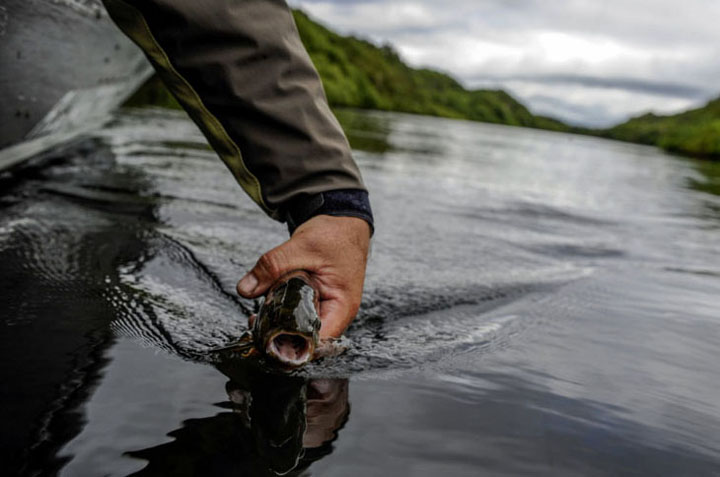 Lecciones de Pesca con Mosca en Chile