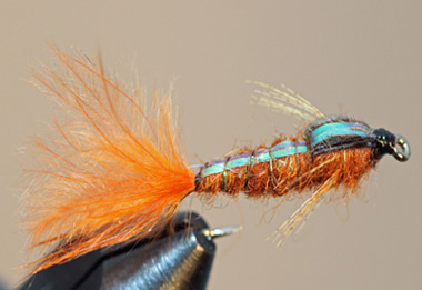 Ninfas de Isonychia: