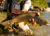 Melimoyu Lodge, la pesca Perfecta en el lugar Perfecto.