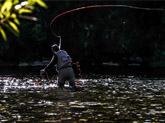 Develando 10 Mitos de la Pesca Con Mosca.