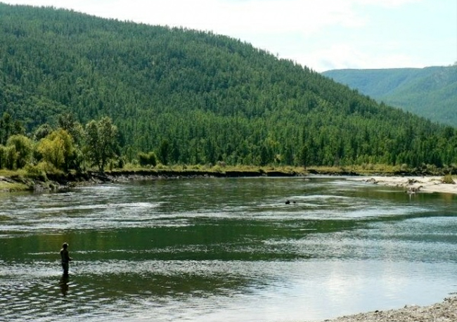 Taimen en Mongolia