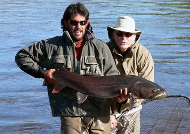 Taimen en Mongolia