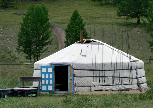 Taimen en Mongolia