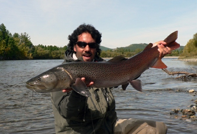 Taimen en Mongolia