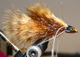 Moon Deep Killer Fly