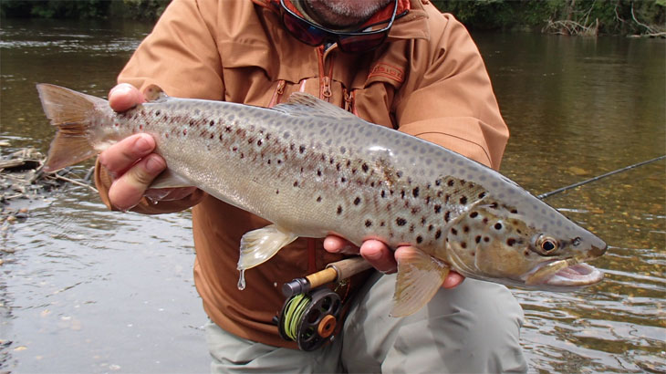 Pescando Despus de una Ratonada en Chilo