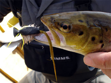 Ratones y sus imitaciones para la pesca con mosca en aguas de la Patagonia