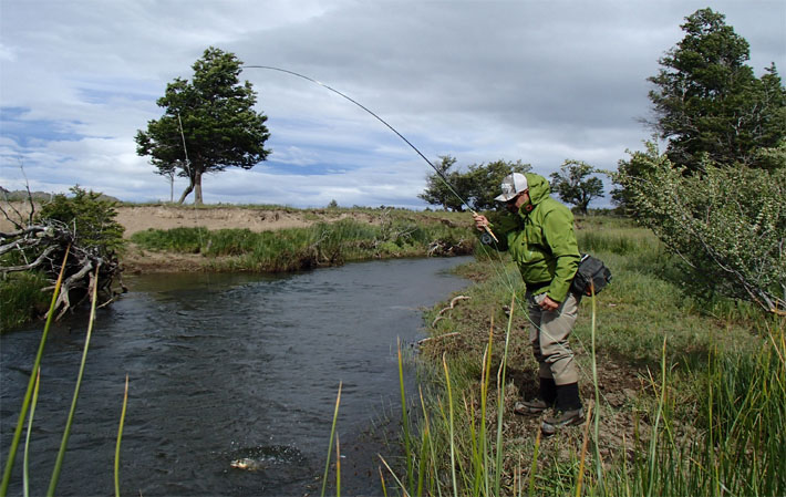 Ratones y sus imitaciones para la pesca con mosca en aguas de la Patagonia