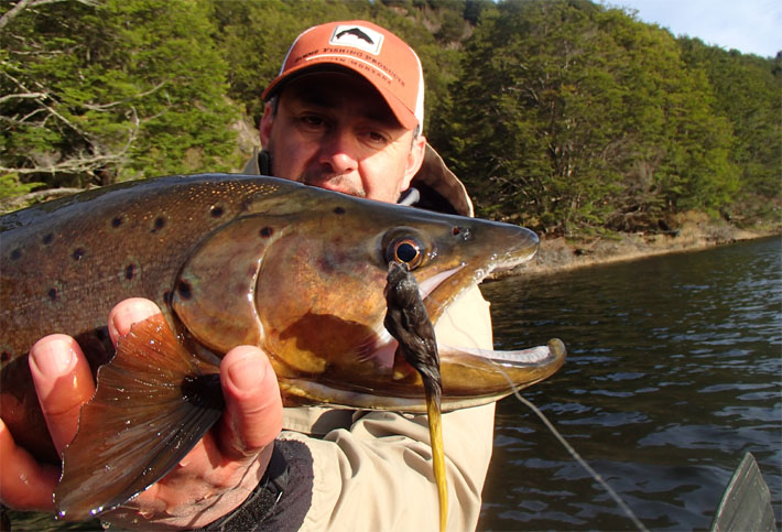 Ratones y sus imitaciones para la pesca con mosca en aguas de la Patagonia