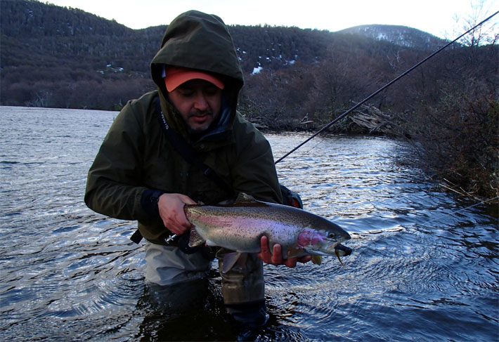 Ratones y sus imitaciones para la pesca con mosca en aguas de la Patagonia