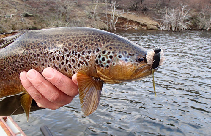 Ratones y sus imitaciones para la pesca con mosca en aguas de la Patagonia