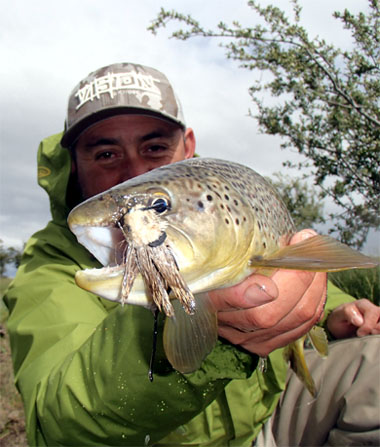 Ratones y sus imitaciones para la pesca con mosca en aguas de la Patagonia