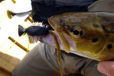 Ratones y sus imitaciones para la pesca con mosca en aguas de la Patagonia