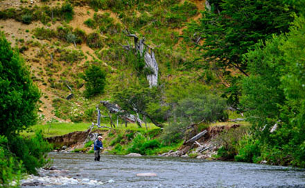 Evaluacin  y  resultados  del  Primer  Mundial  de Pesca con Mosca realizado en la Patagonia chilena, Enero 2014