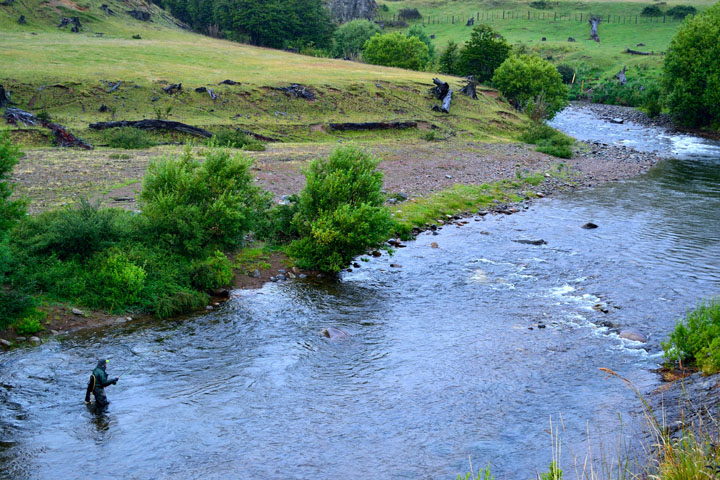 Evaluacin y resultados del Primer Mundial de Pesca con Mosca realizado en la Patagonia chilena, Enero 2014.