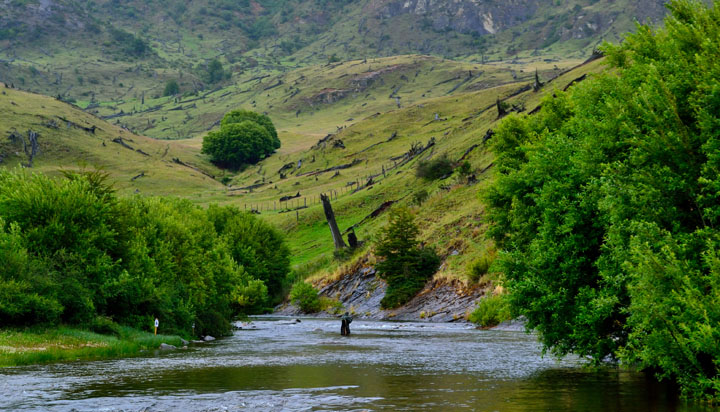 Evaluacin y resultados del Primer Mundial de Pesca con Mosca realizado en la Patagonia chilena, Enero 2014.
