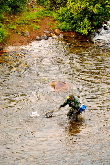 Evaluacin y resultados del Primer Mundial de Pesca con Mosca realizado en la Patagonia chilena, Enero 2014.