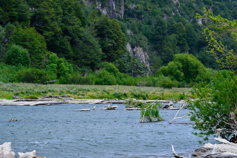 Evaluacin y resultados del Primer Mundial de Pesca con Mosca realizado en la Patagonia chilena, Enero 2014.