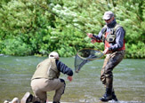 Evaluación y resultados del Primer Mundial de Pesca con Mosca realizado en la Patagonia chilena, Enero 2014.