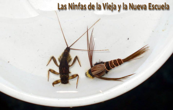 Las Ninfas de la Vieja y la Nueva Escuela